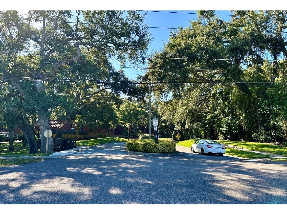 2725 14th Court Palm Harbor FL 34684 TB8436271 image60