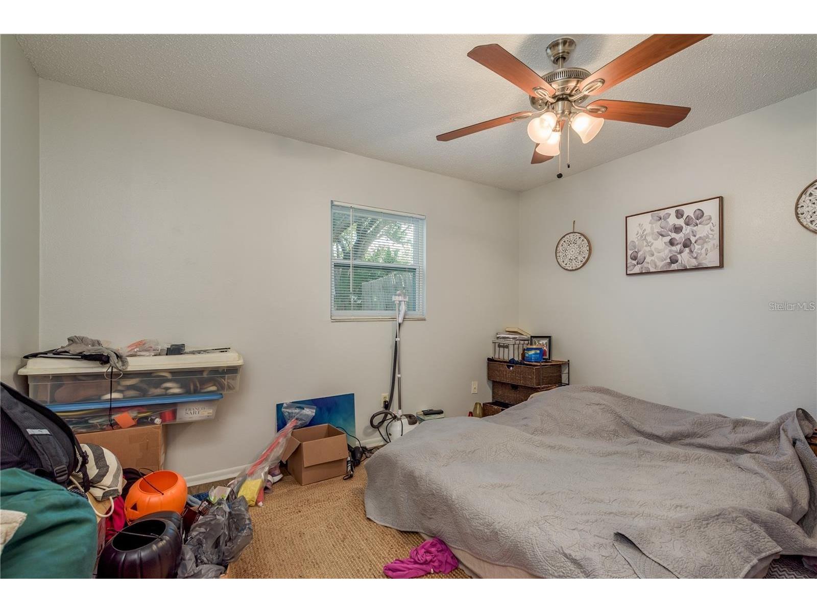 2725 Belle Haven Drive Clearwater FL 33763 TB8443388 image17