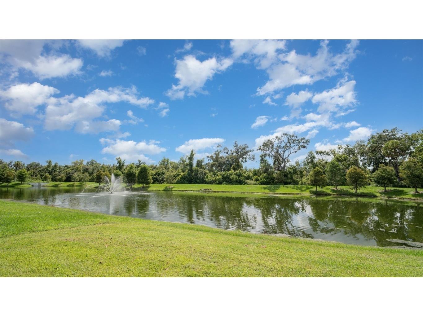 2725 Greenleaf Terrace Parrish FL 34219 A4660549 image20