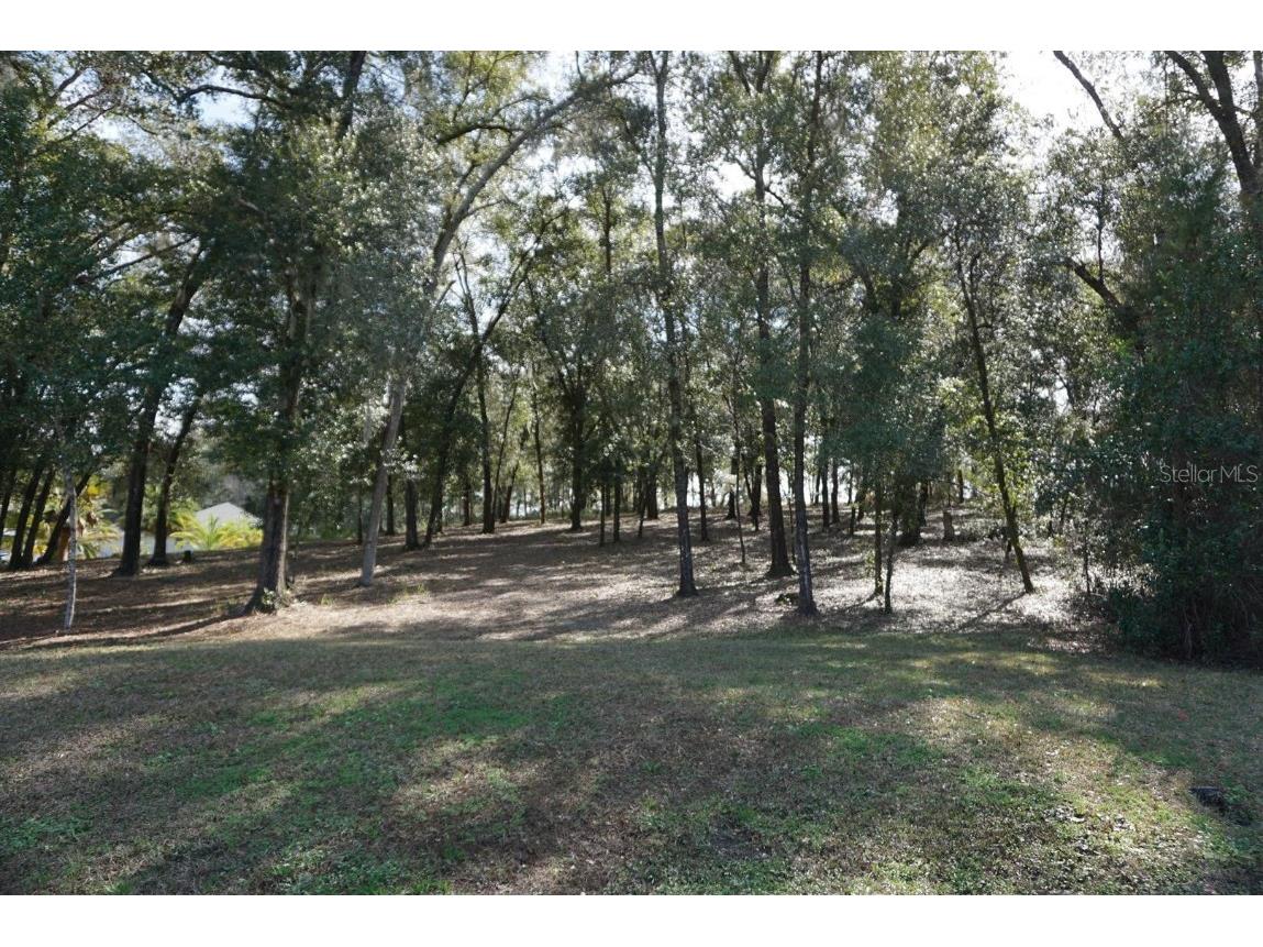 2725 N Crossbow Point Hernando FL 34442 OM652900 image1