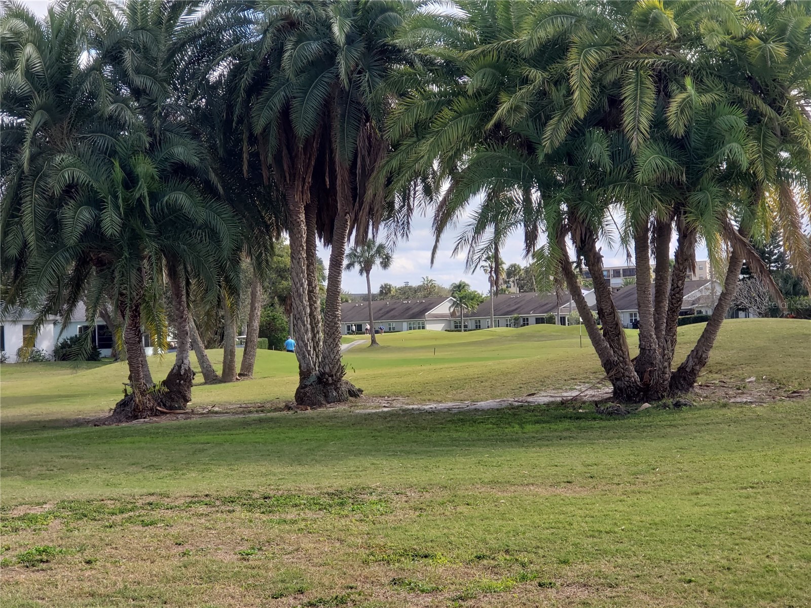 2725 Terra Ceia Bay Boulevard #102 Palmetto FL 34221 - TERRA CEIA BAY A4694647 image35