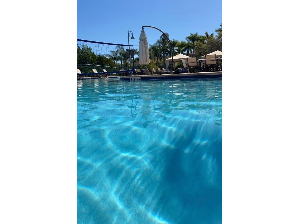 2725 Via Cipriani #732B Clearwater FL 33764 TB8433327 image15