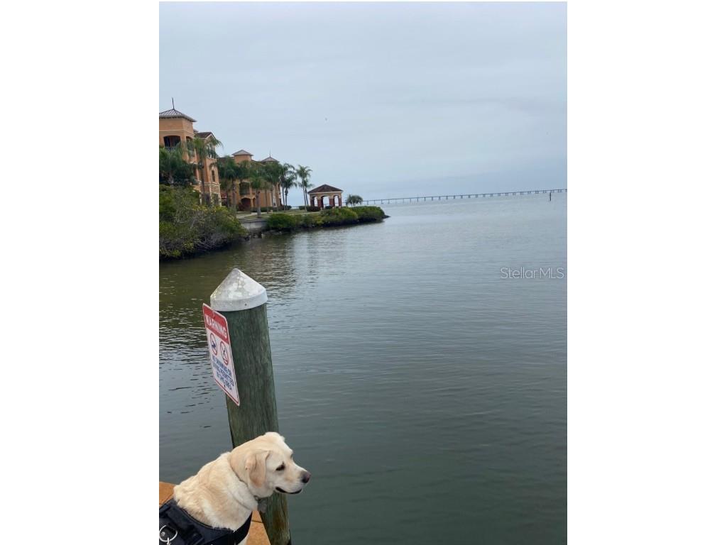 2725 Via Cipriani #732B Clearwater FL 33764 TB8433327 image18