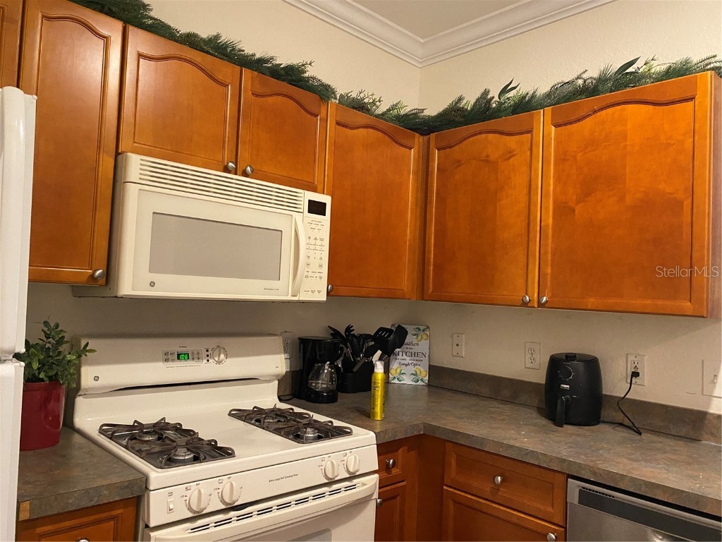 2725 Via Cipriani #732B Clearwater FL 33764 TB8433327 image3