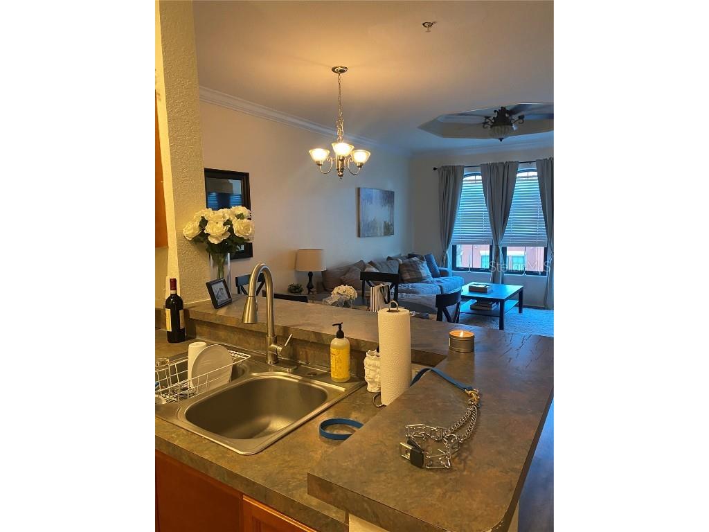 2725 Via Cipriani #732B Clearwater FL 33764 TB8433327 image5
