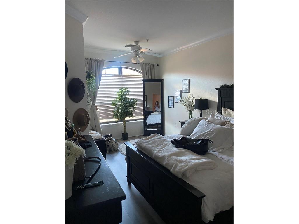 2725 Via Cipriani #732B Clearwater FL 33764 TB8433327 image9