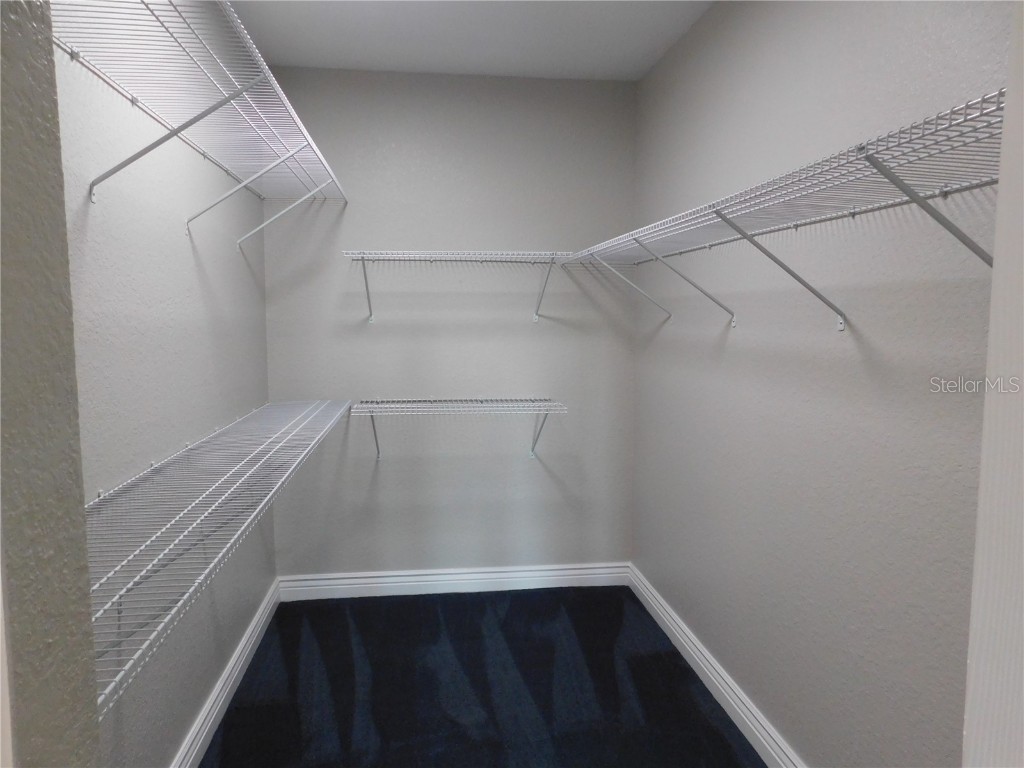 2725 Via Cipriani #735B Clearwater FL 33764 TB8439421 image28