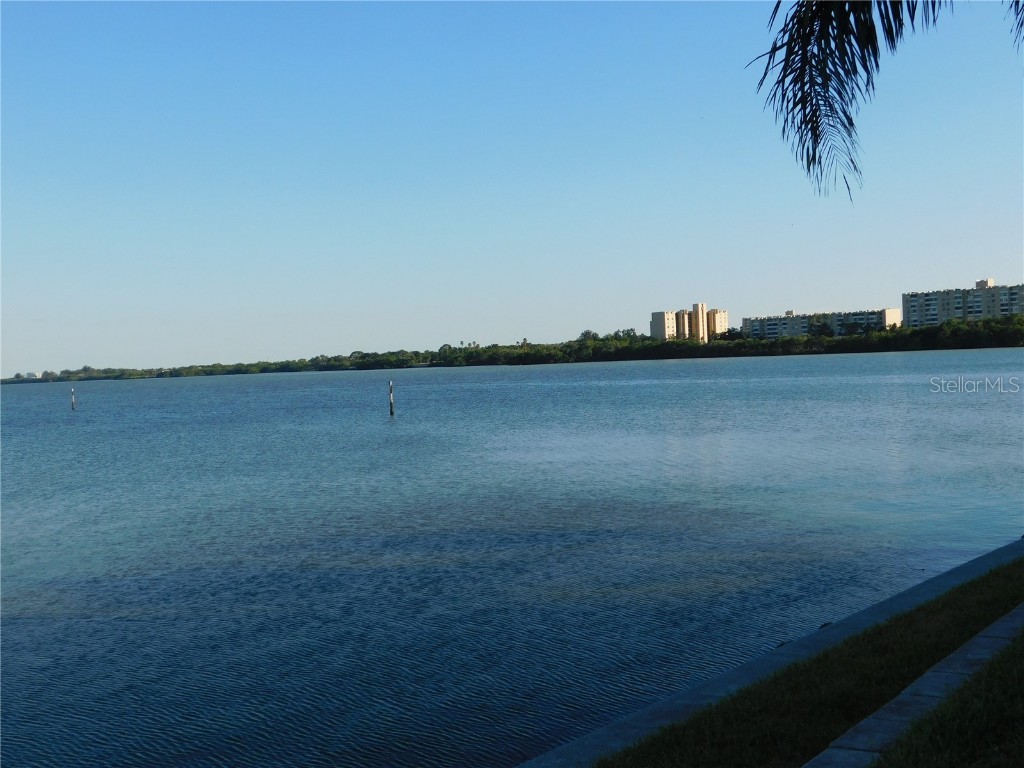2725 Via Cipriani #735B Clearwater FL 33764 TB8439421 image40