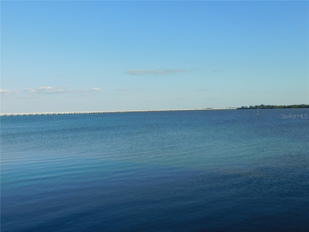 2725 Via Cipriani #735B Clearwater FL 33764 TB8439421 image41