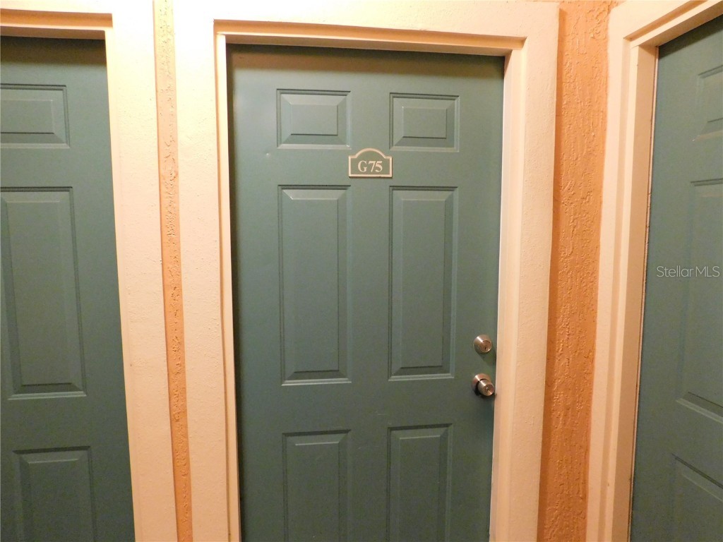 2725 Via Cipriani #735B Clearwater FL 33764 TB8439421 image43