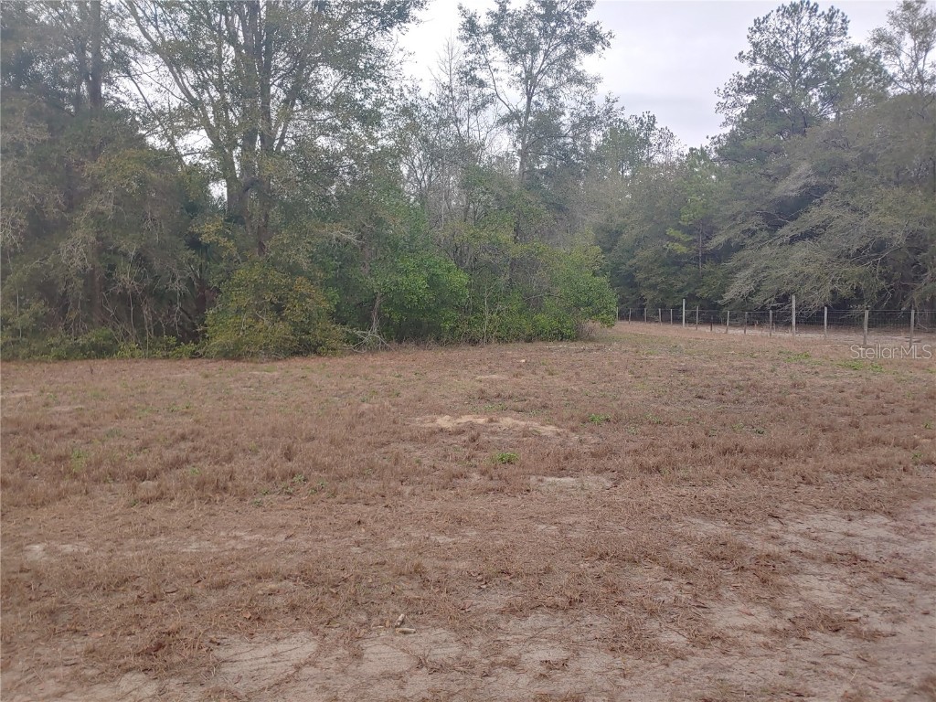 2725 W Waycormon Court Dunnellon FL 34433 OM655929 image1