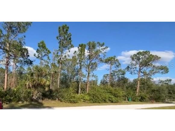 27250 Mandalay Drive Punta Gorda FL 33955 U8204933 image1