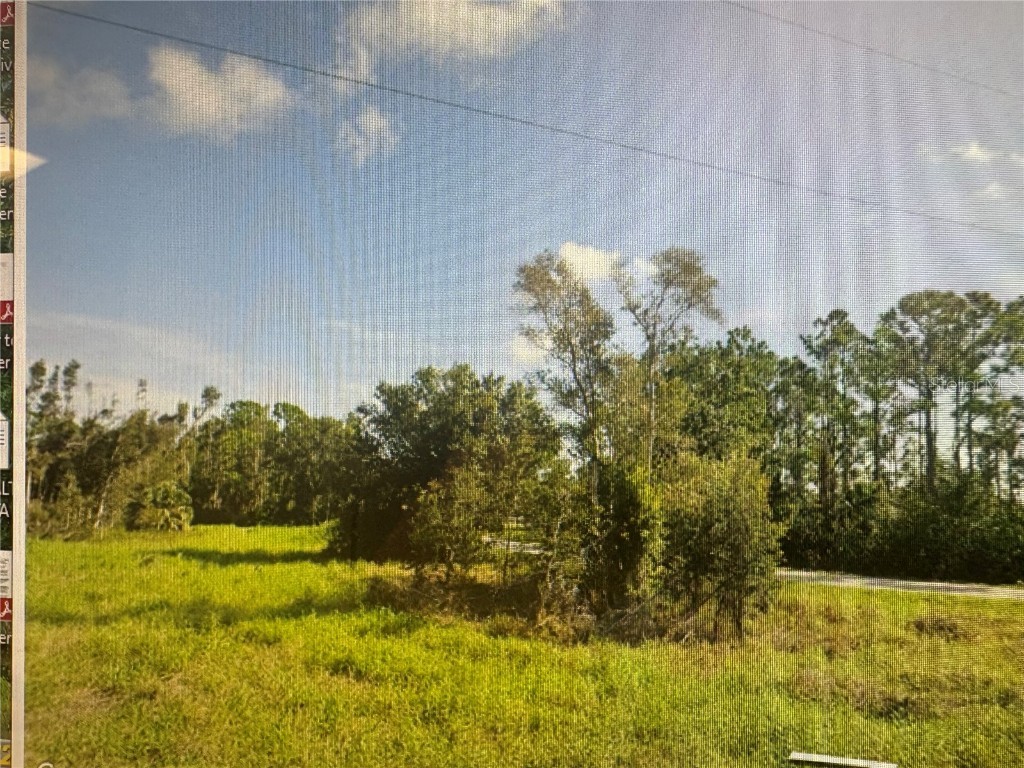 27252 Las Lomas Drive Punta Gorda FL 33955 A4669997 image2