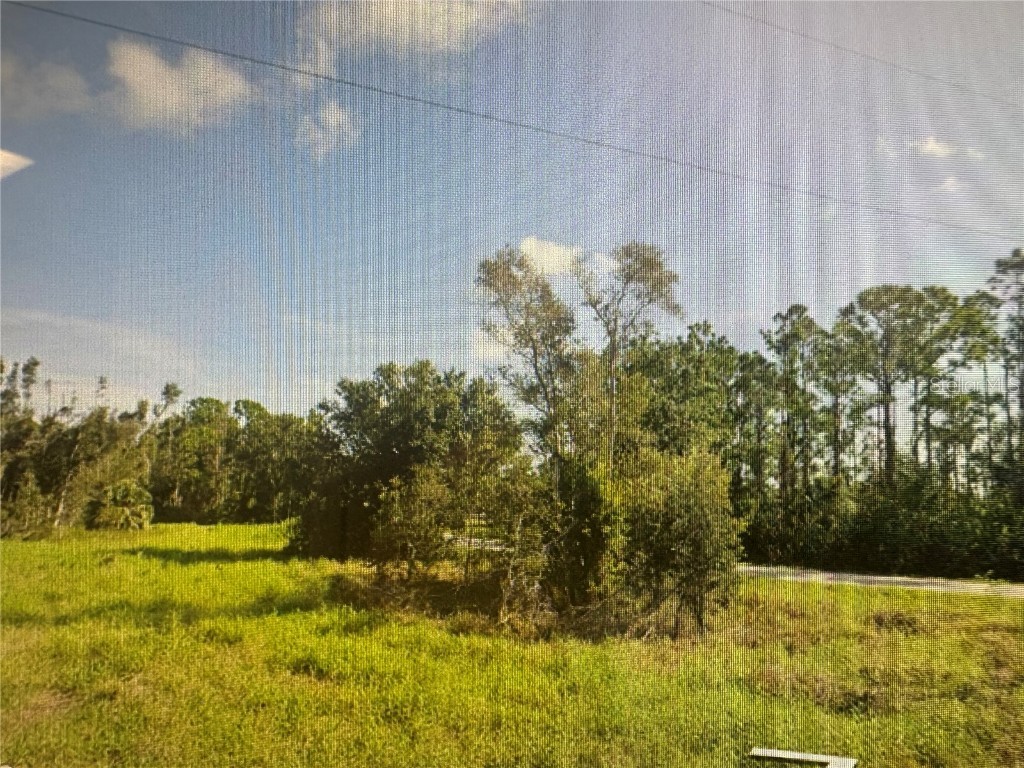 27252 Las Lomas Drive Punta Gorda FL 33955 A4669997 image3