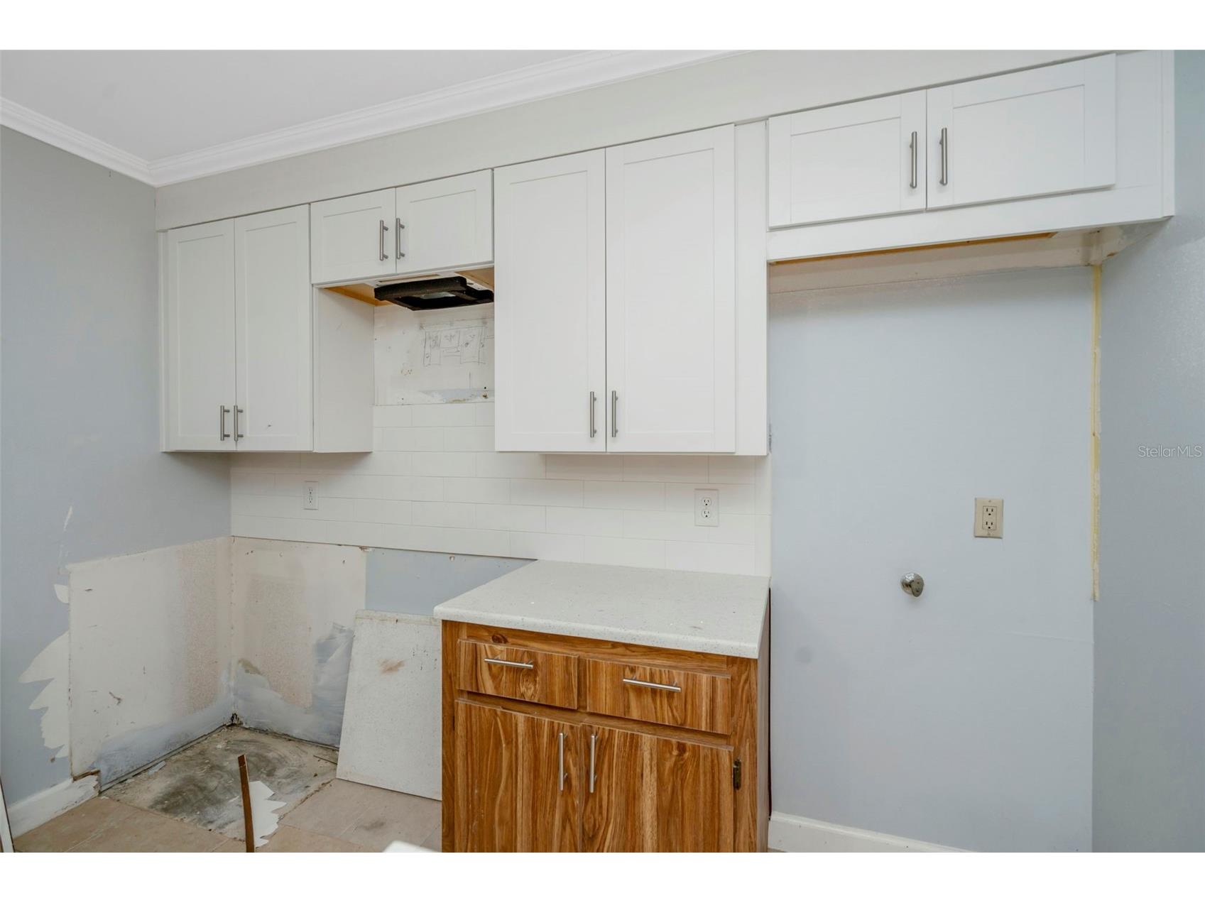2726 11th Court Palm Harbor FL 34684 TB8510512 image12