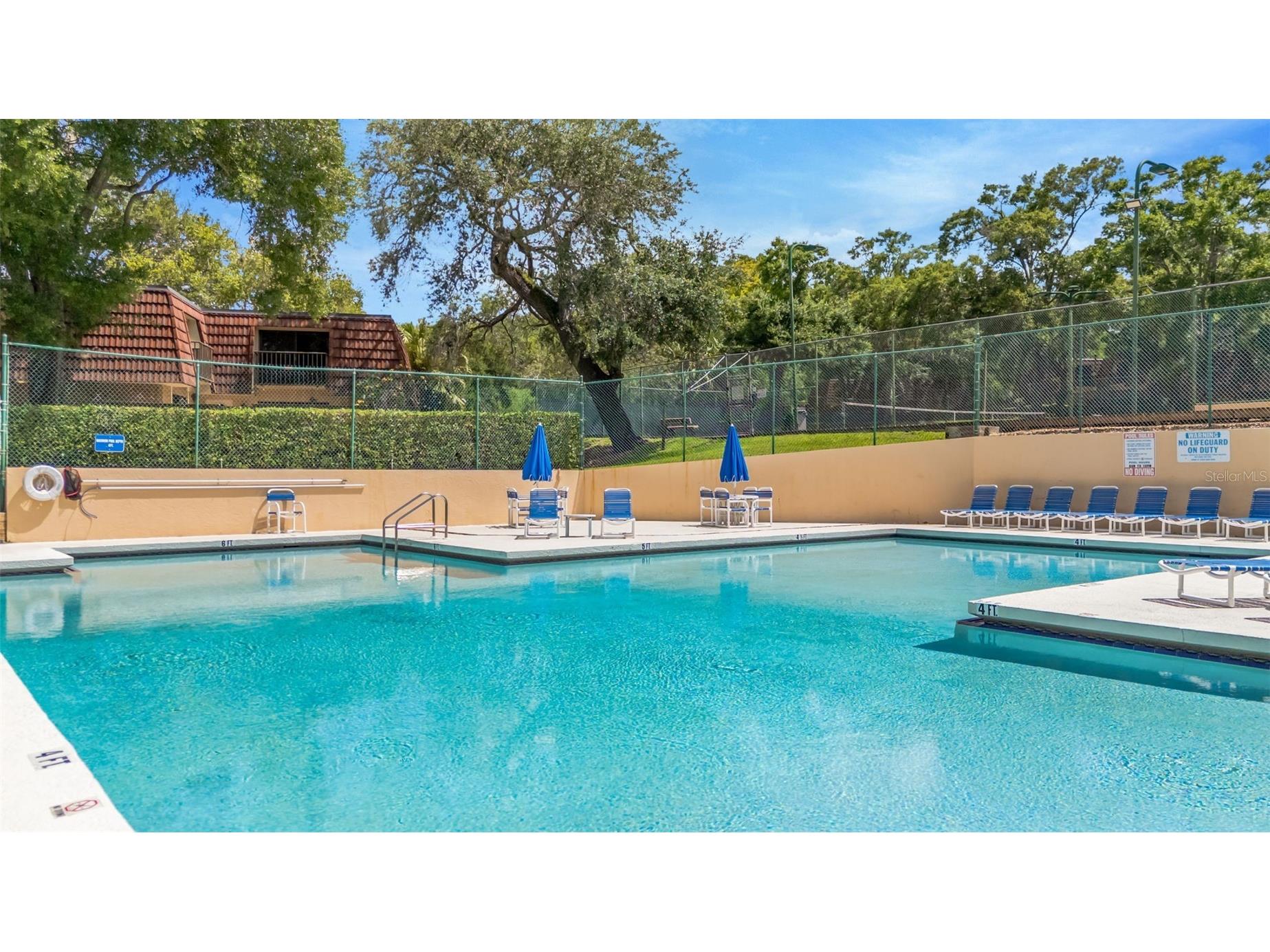 2726 11th Court Palm Harbor FL 34684 TB8510512 image30