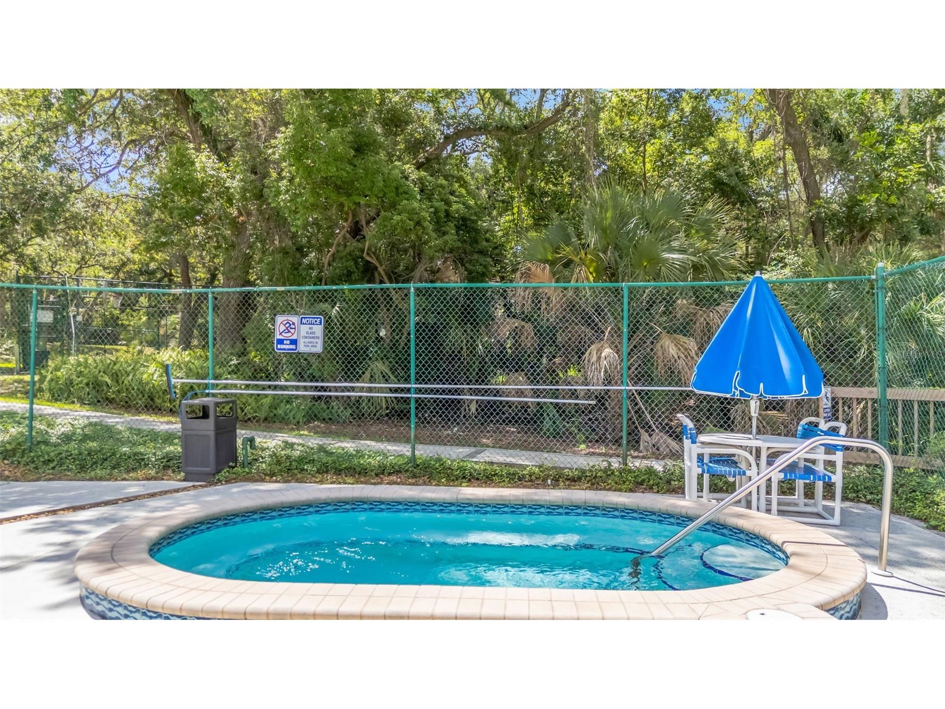 2726 11th Court Palm Harbor FL 34684 TB8510512 image31