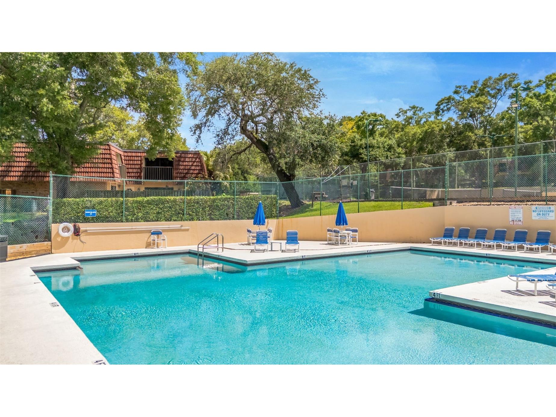 2726 11th Court Palm Harbor FL 34684 TB8510512 image32