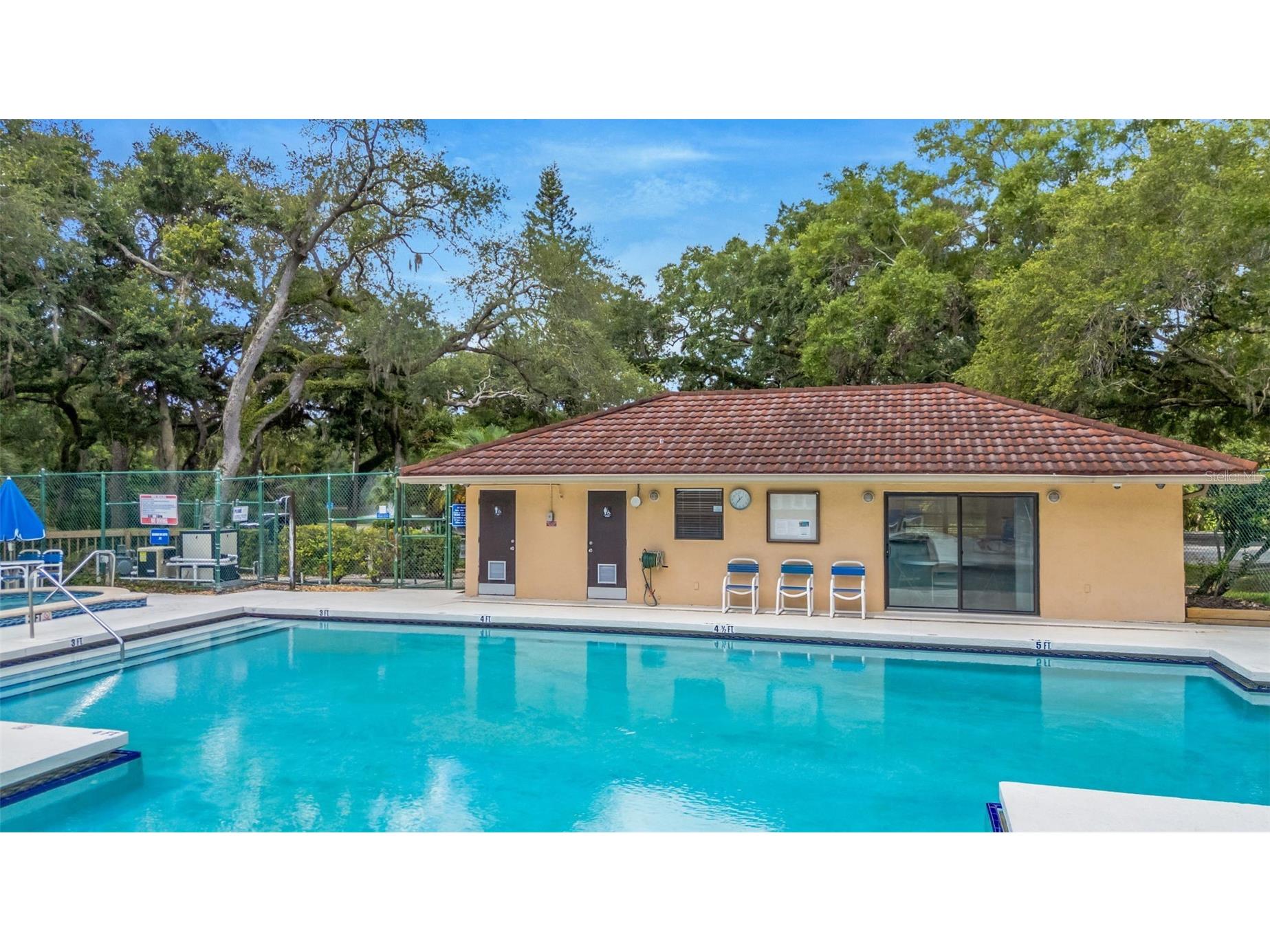 2726 11th Court Palm Harbor FL 34684 TB8510512 image33