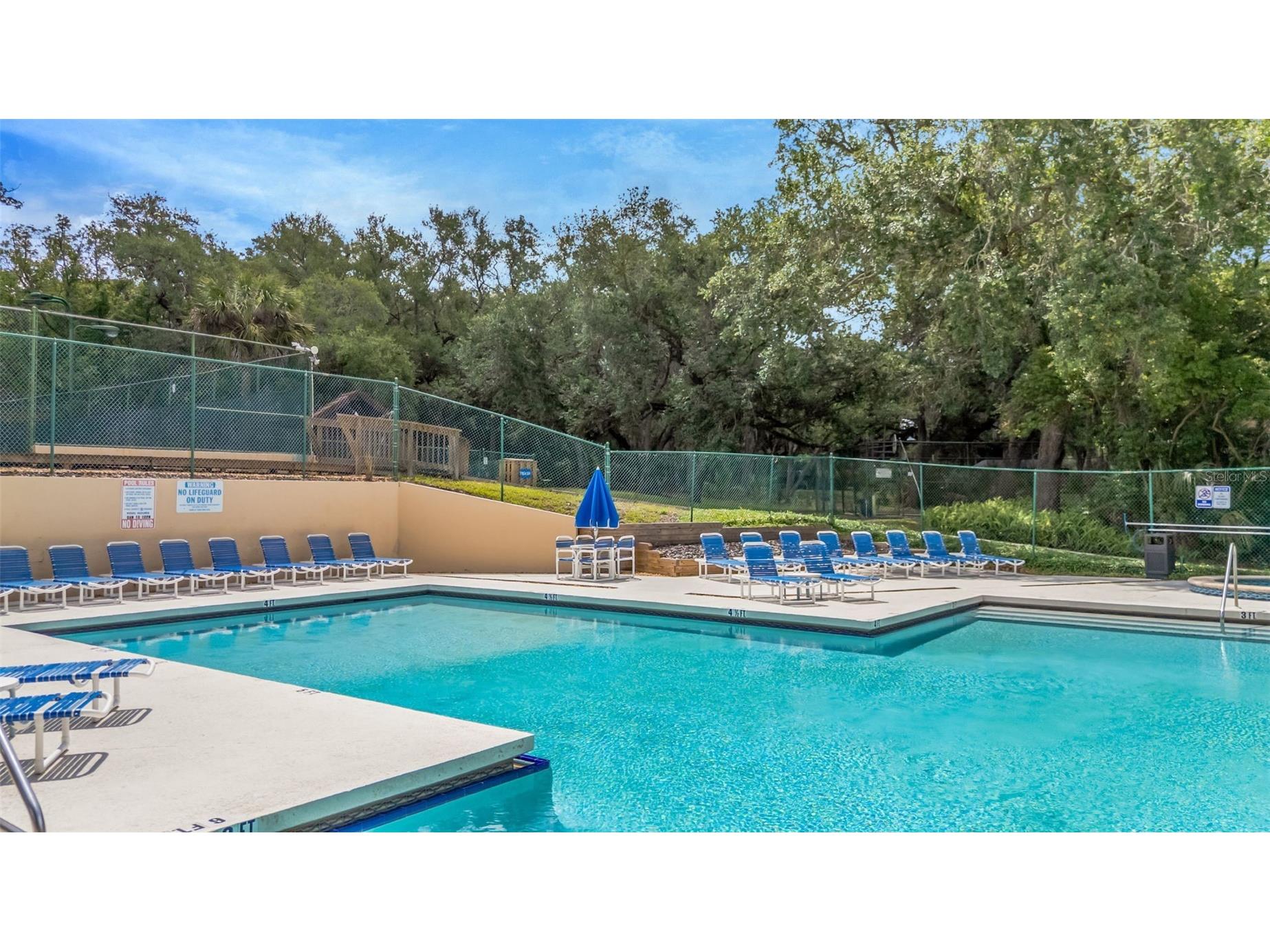 2726 11th Court Palm Harbor FL 34684 TB8510512 image34