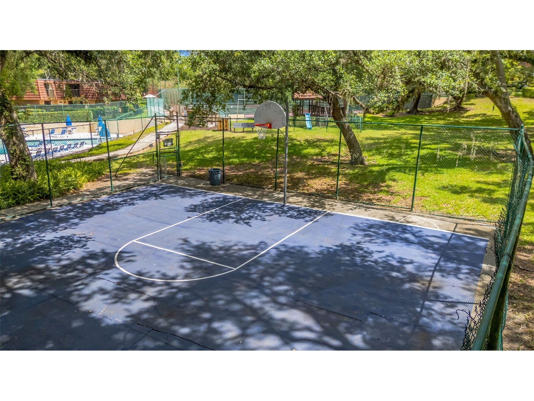 2726 11th Court Palm Harbor FL 34684 TB8510512 image37