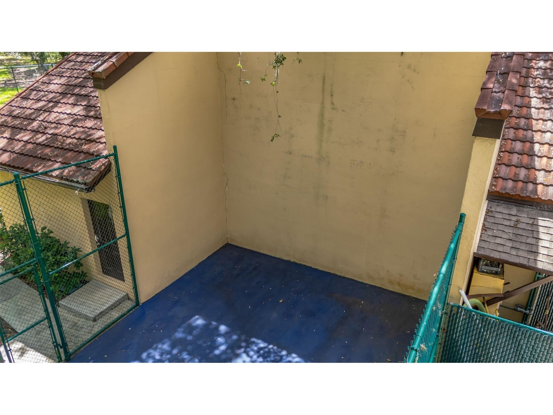 2726 11th Court Palm Harbor FL 34684 TB8510512 image39