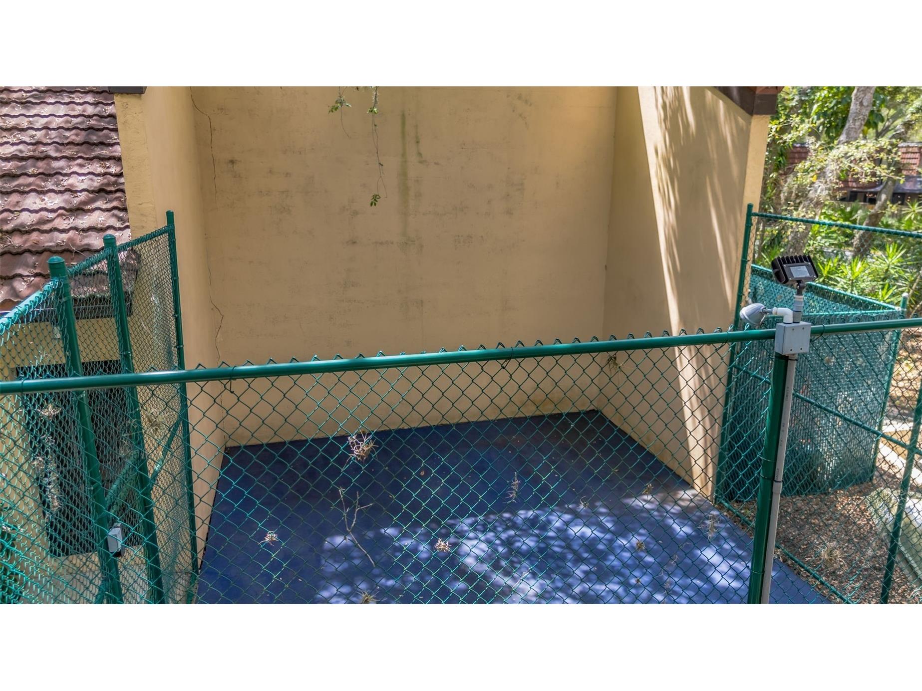2726 11th Court Palm Harbor FL 34684 TB8510512 image40
