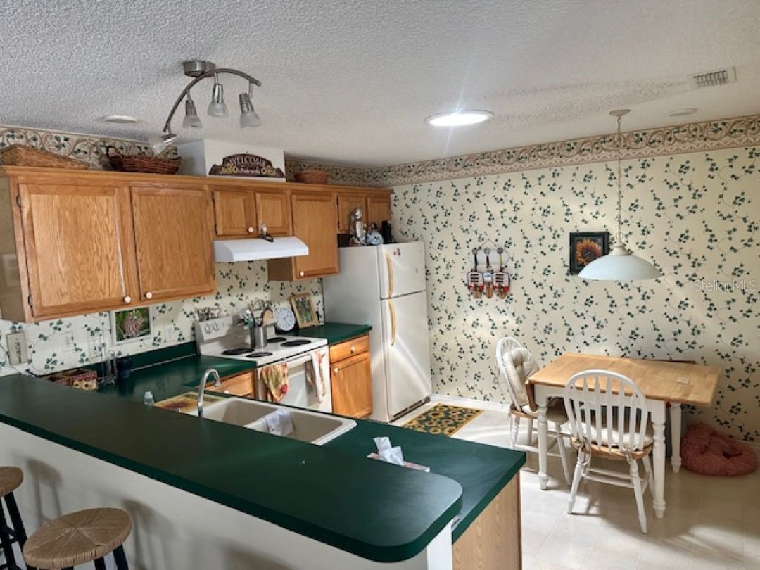 2726 Moncayo Avenue The Villages FL 32162 O6384183 image10