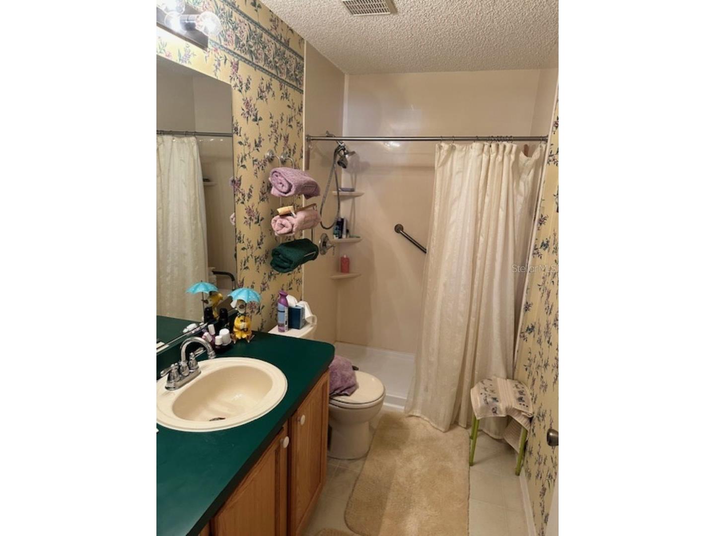 2726 Moncayo Avenue The Villages FL 32162 O6384183 image14