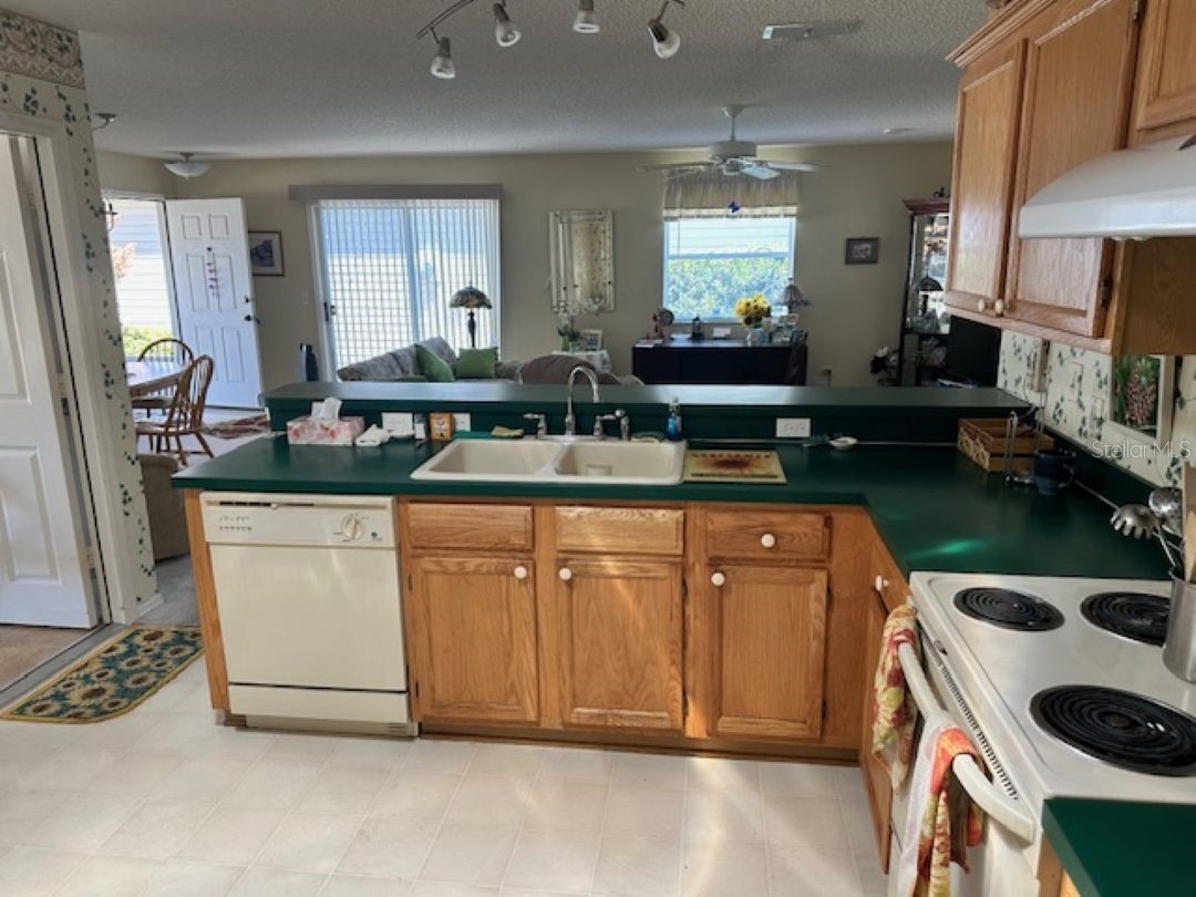 2726 Moncayo Avenue The Villages FL 32162 O6384183 image9