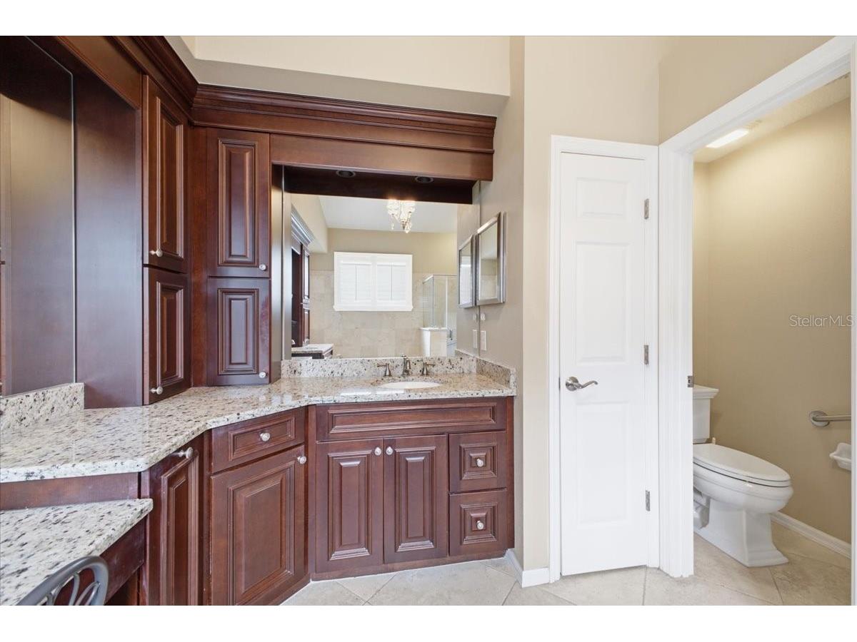 2726 Valencia Grove Drive Valrico FL 33596 TB8510957 image19