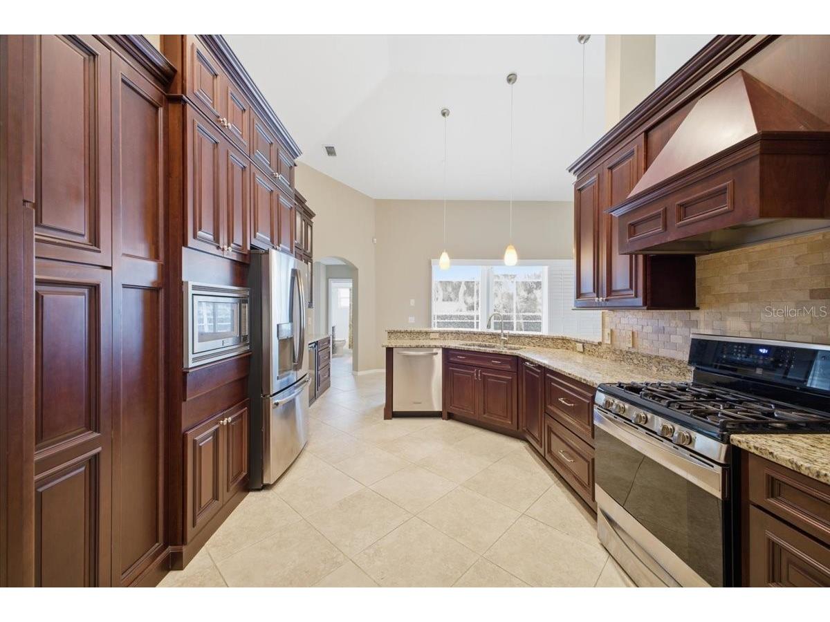 2726 Valencia Grove Drive Valrico FL 33596 TB8510957 image4