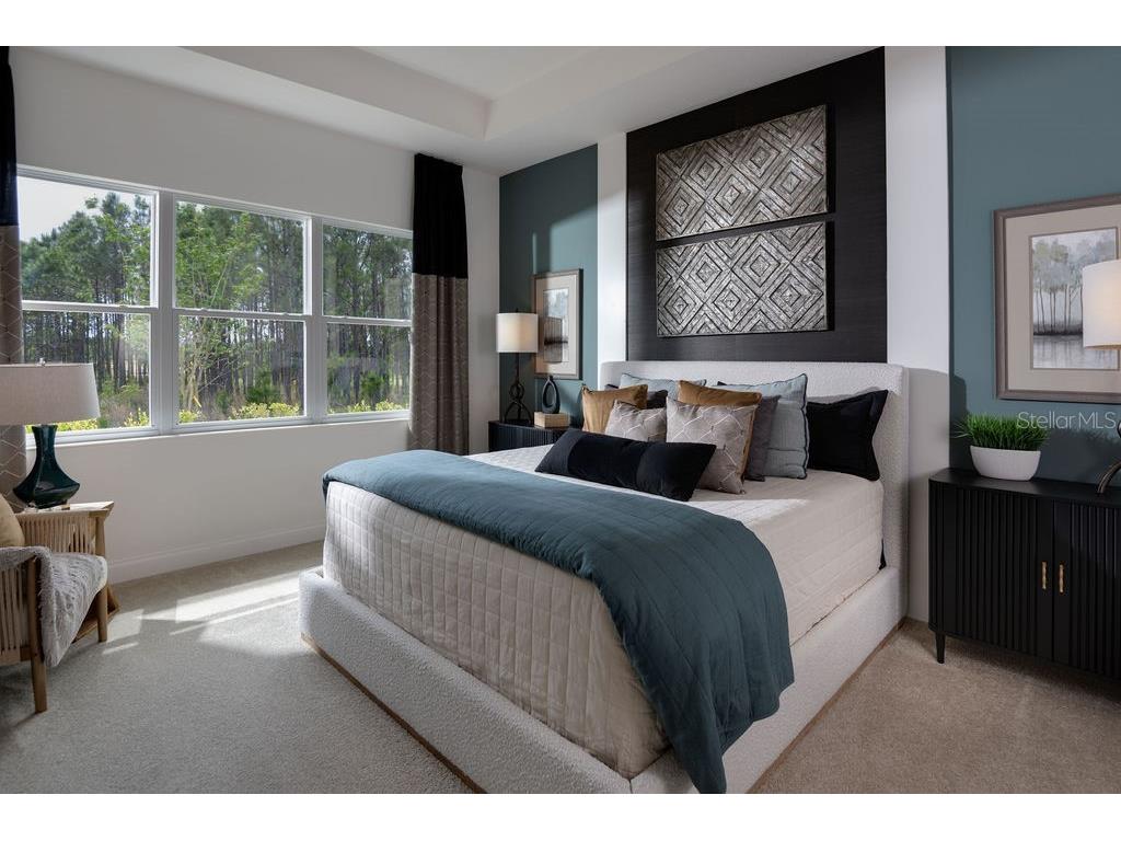 2726 Wise River Lane Zephyrhills FL 33539 O6300032 image6