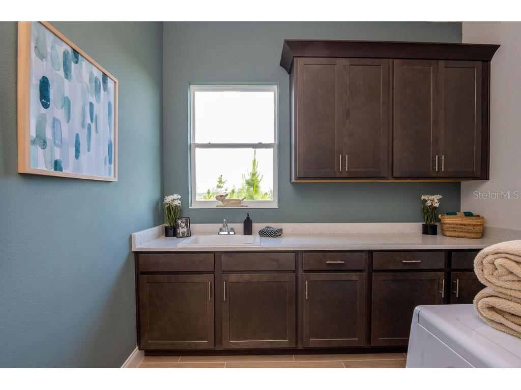 2726 Wise River Lane Zephyrhills FL 33539 O6300032 image9