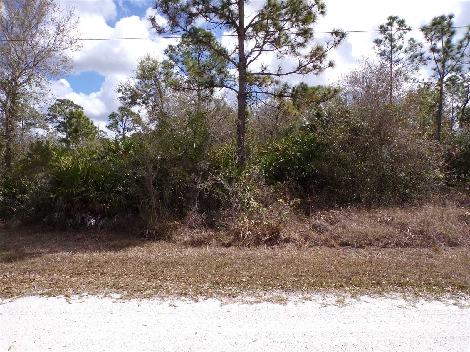 27263 Hacienda Drive Punta Gorda FL 33955 C7522830 image5