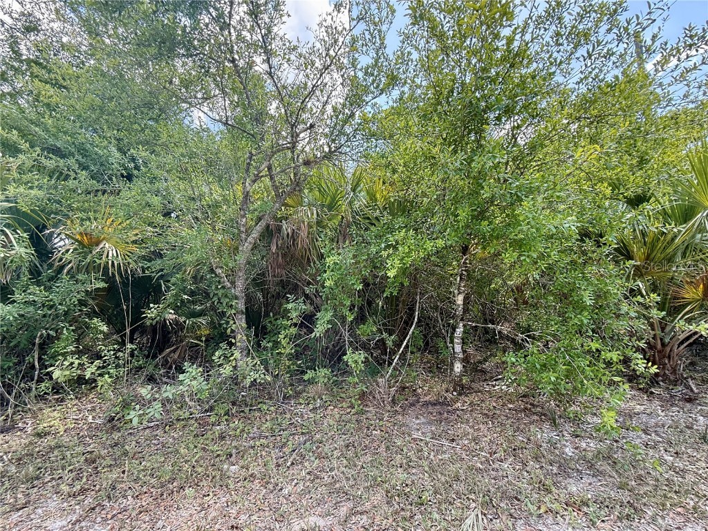 27263 Las Lomas Drive Punta Gorda FL 33955 C7508453 image1