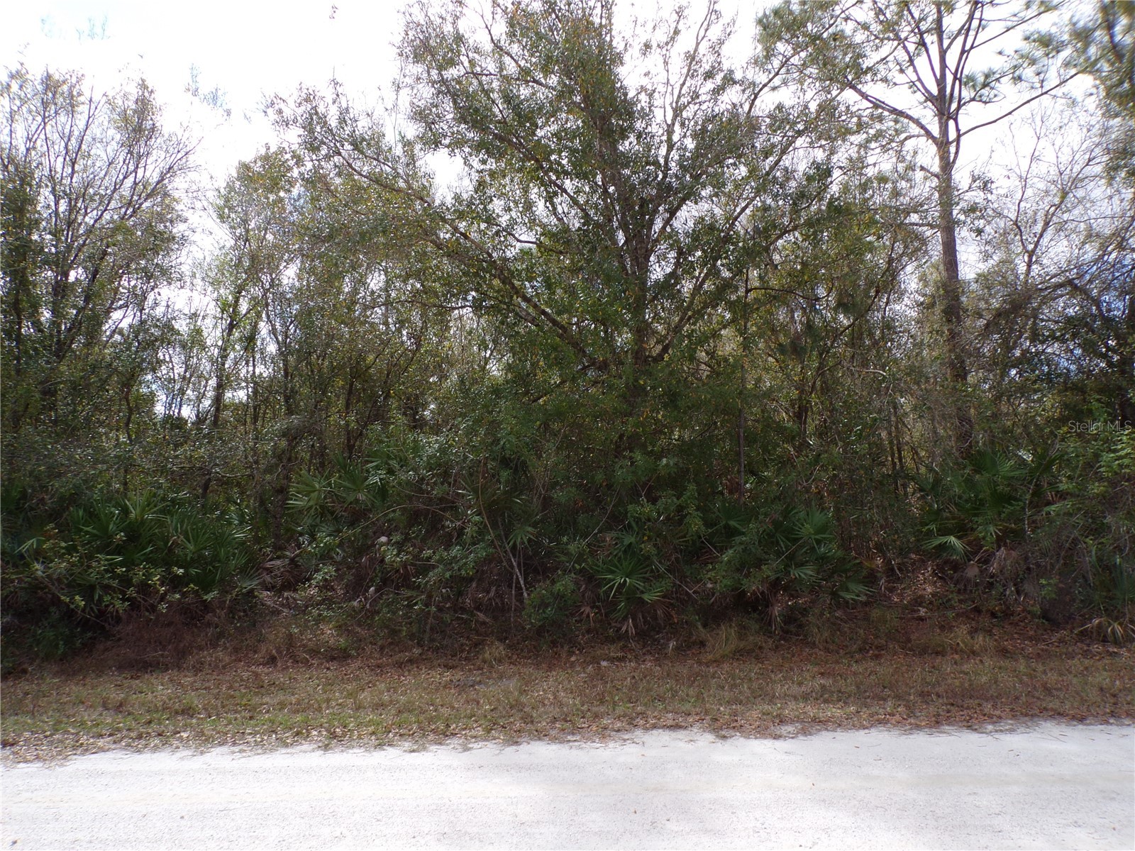 27269 Hacienda Drive Punta Gorda FL 33955 C7522831 image11