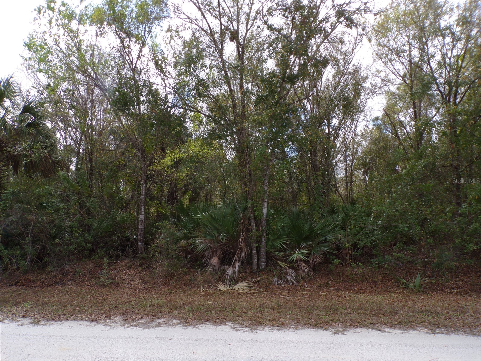 27269 Hacienda Drive Punta Gorda FL 33955 C7522831 image14
