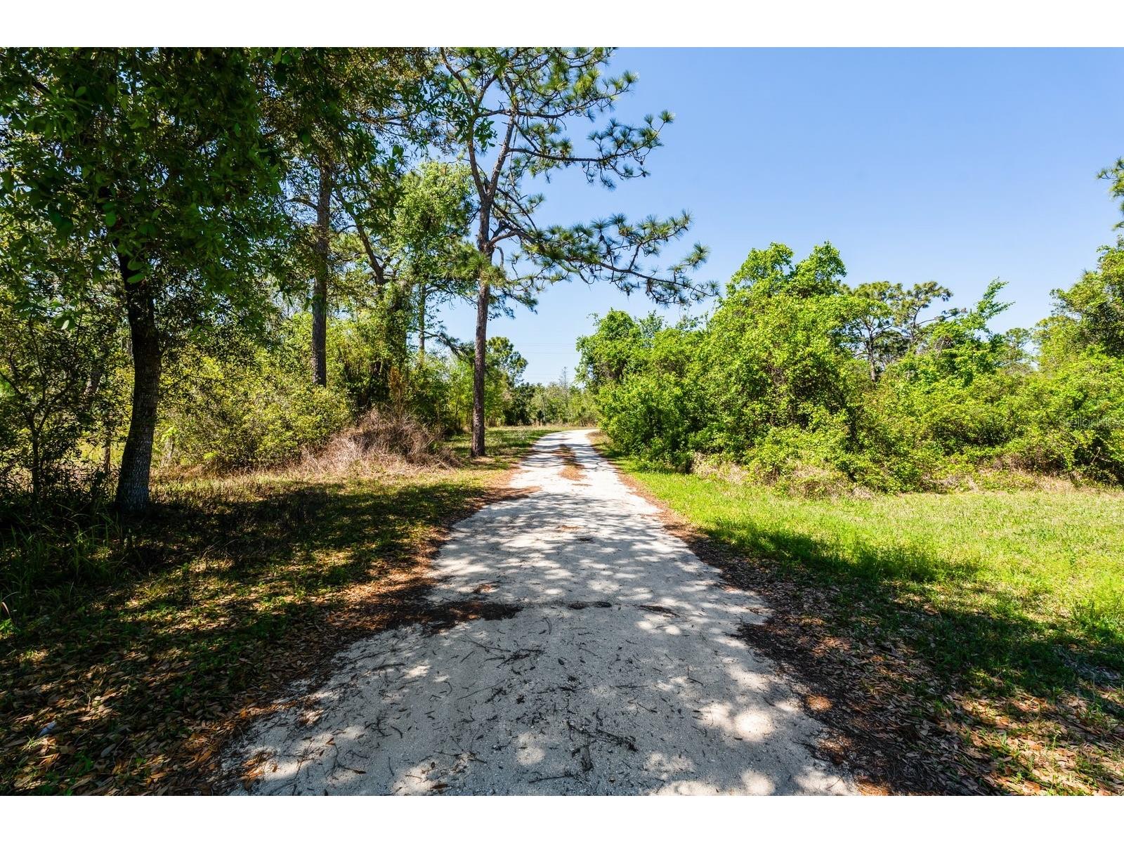 2727 Absher Road Saint Cloud FL 34771 O6393196 image11