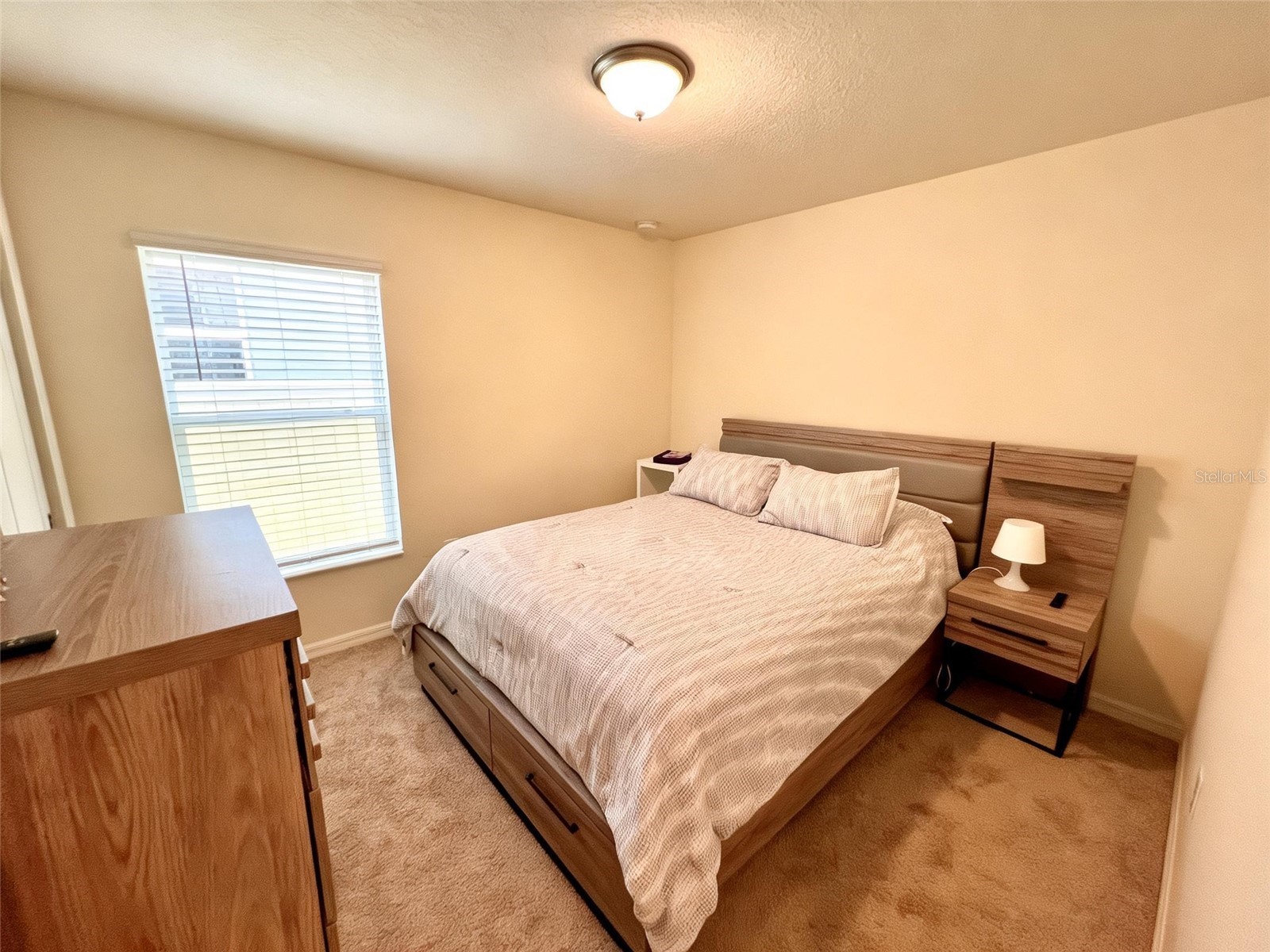 2727 Meadow Stream Way Clermont FL 34714 S5152178 image8
