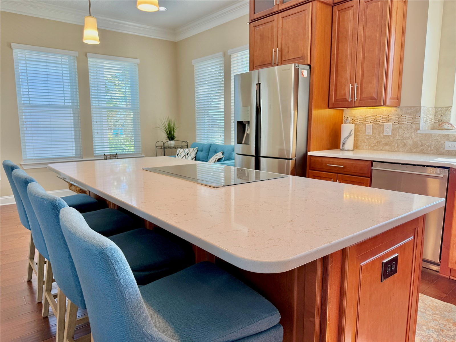 2727 Morning Light Court Flagler Beach FL 32136 FC314986 image21