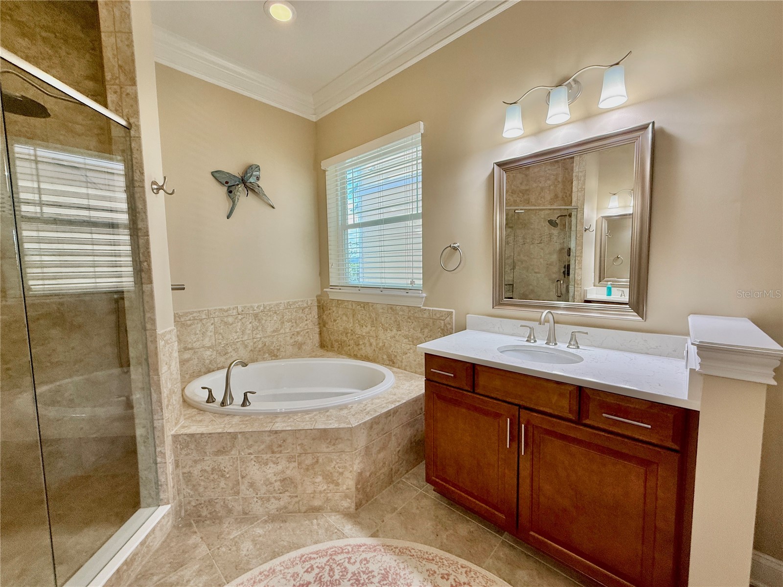 2727 Morning Light Court Flagler Beach FL 32136 FC314986 image54