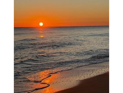 2727 N Atlantic Avenue #3170 Daytona Beach FL 32118 FC317518 image38