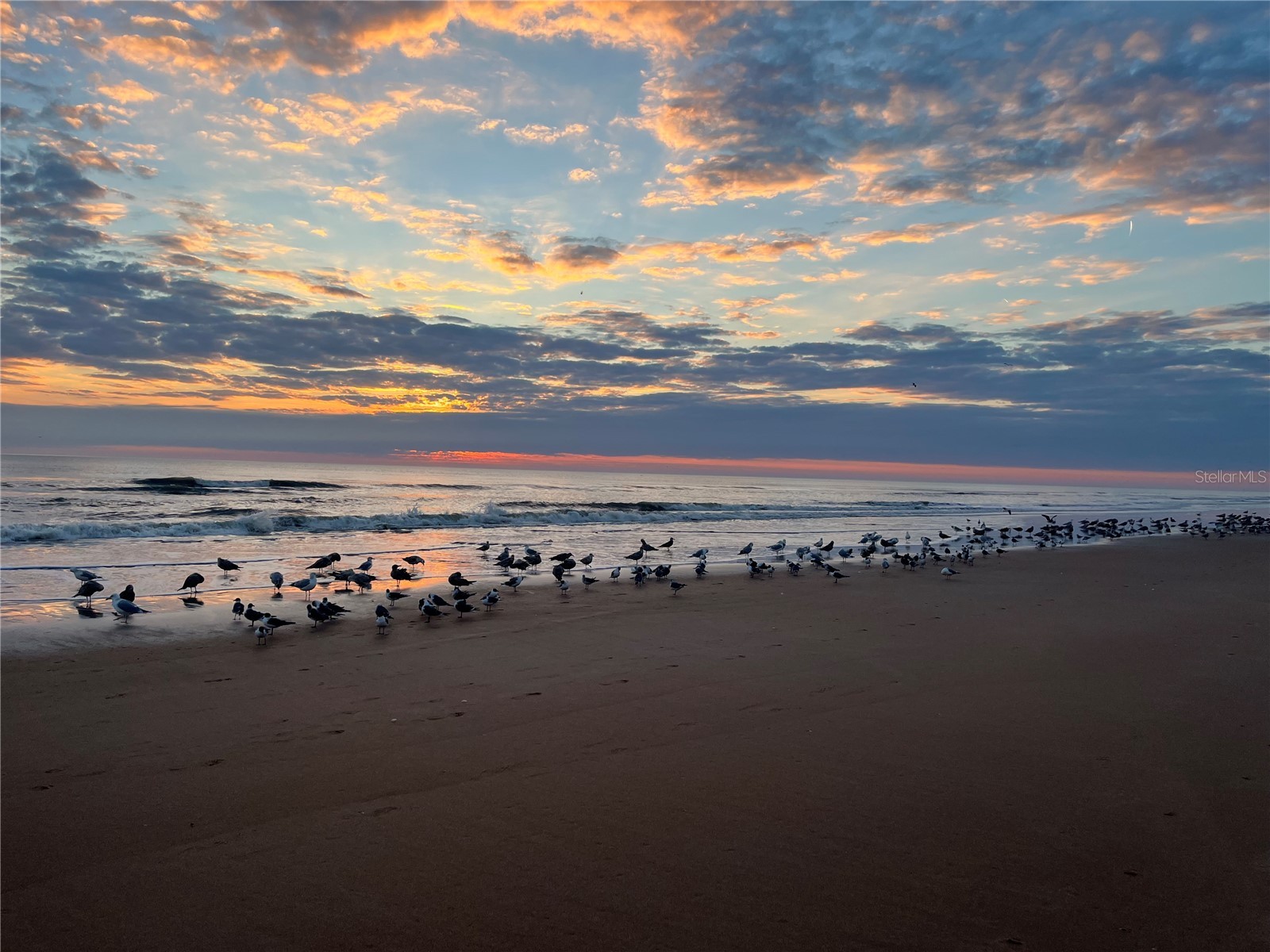 2727 N Atlantic Avenue #414 Daytona Beach FL 32118 V4947496 image10