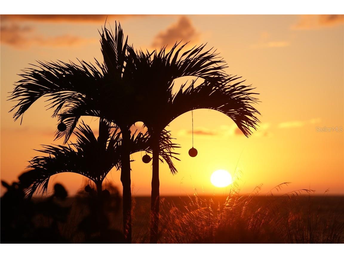 2727 N Beach Road #113 Englewood FL 34223 - LEMON BAY D6144819 image41