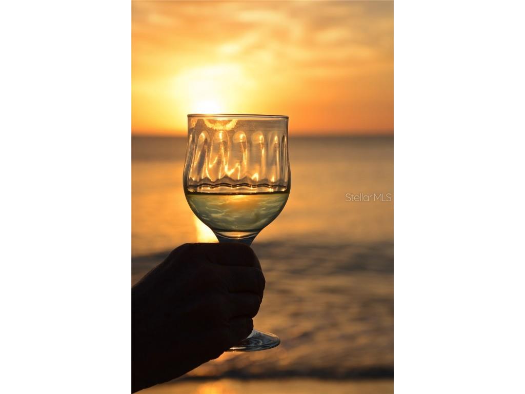 2727 N Beach Road #113 Englewood FL 34223 - LEMON BAY D6144819 image42