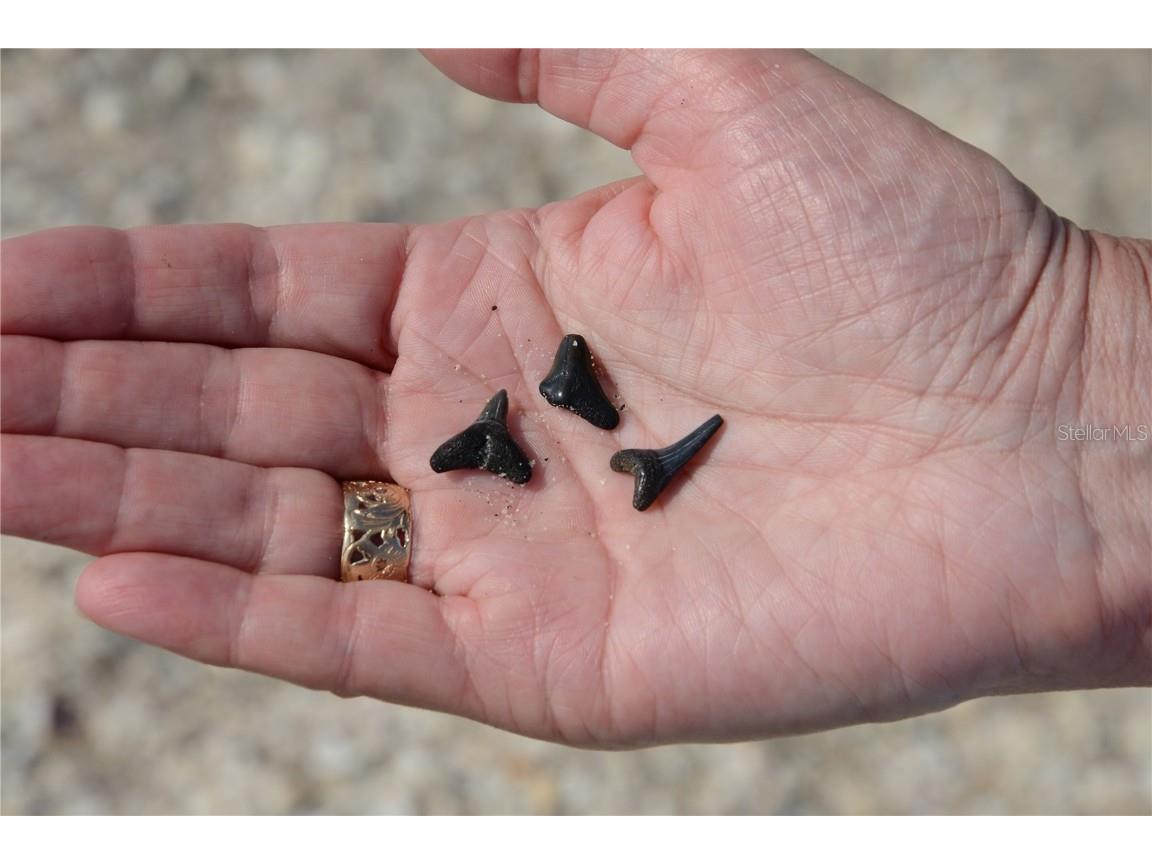 2727 N Beach Road #113 Englewood FL 34223 - LEMON BAY D6144819 image45