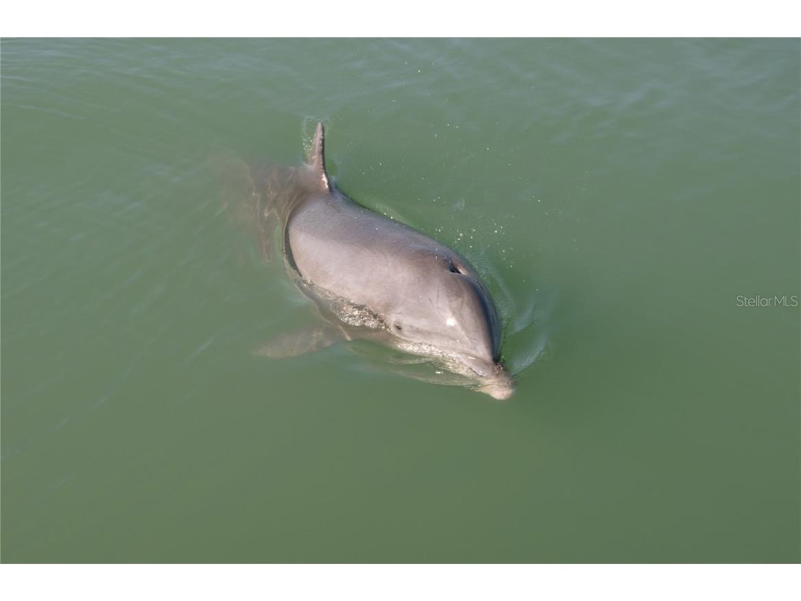 2727 N Beach Road #113 Englewood FL 34223 - LEMON BAY D6144819 image47