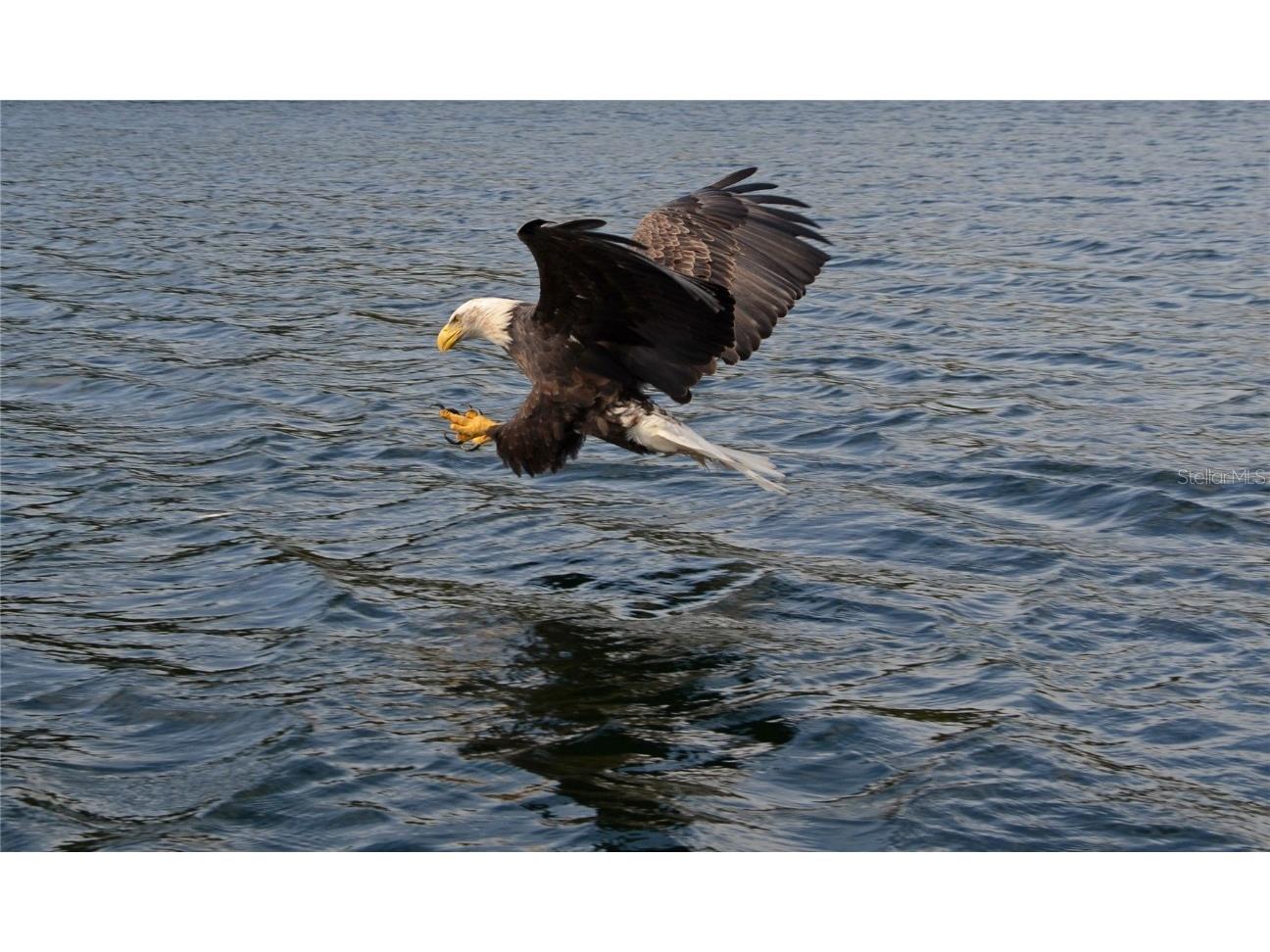 2727 N Beach Road #113 Englewood FL 34223 - LEMON BAY D6144819 image48