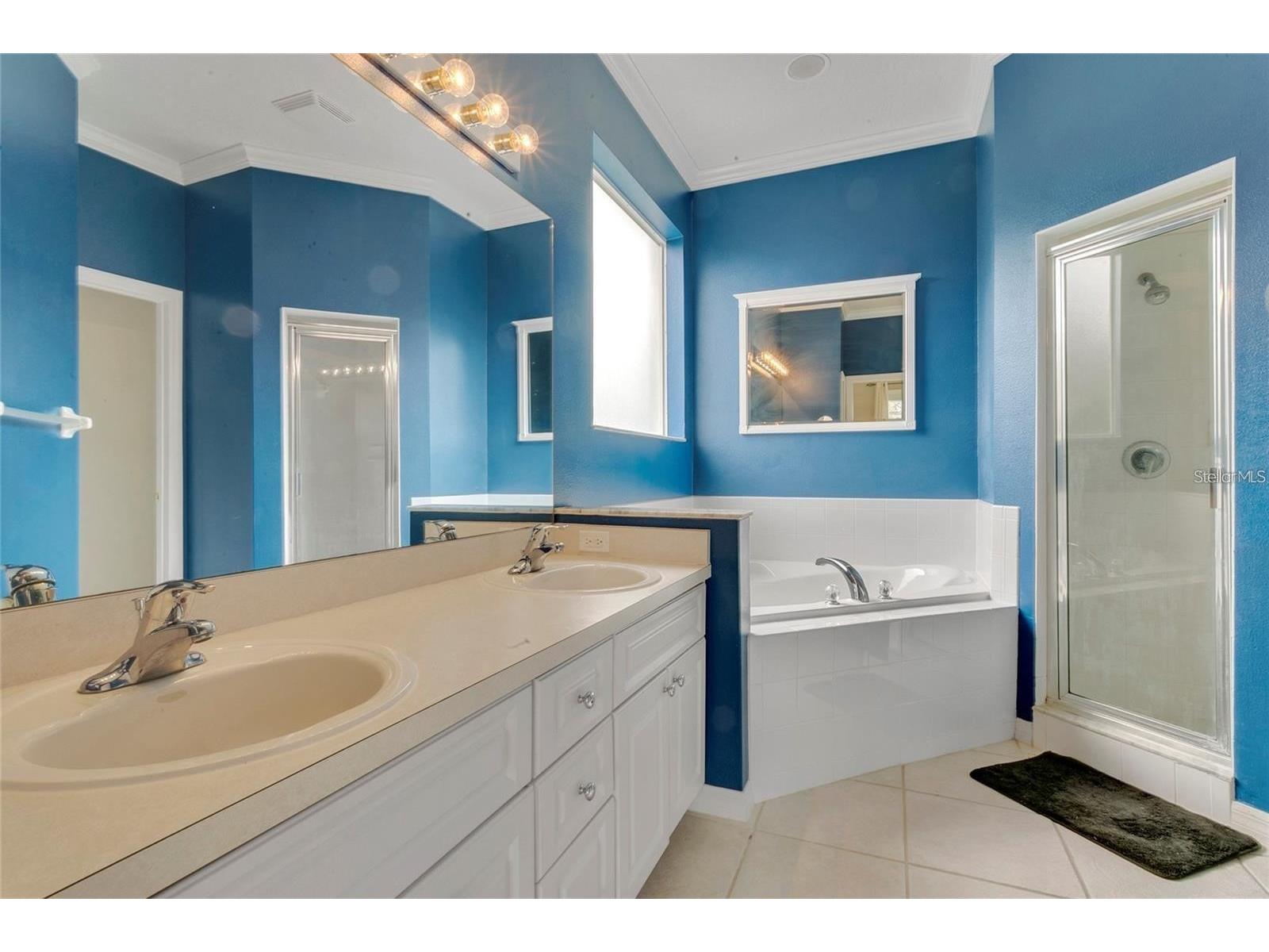 2727 Ramsey Drive Apopka FL 32703 O6370011 image21
